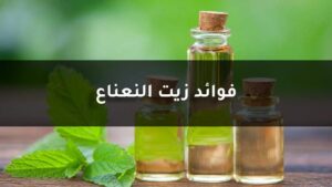 مدي أهمية النعناع في حياتنا