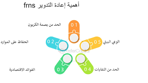 إعادة تدوير الورق... حلاً بيئيًا للحفاظ على الغابات